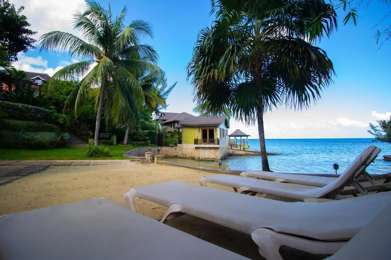 Crystal Cove Oceanfront/ 2 Bedroom Condo location